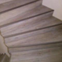 Floor Forever borovice Colombia