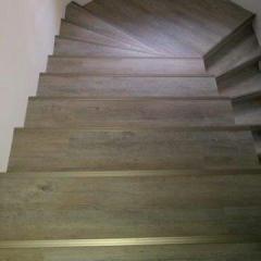 Floor Forever borovice Colombia