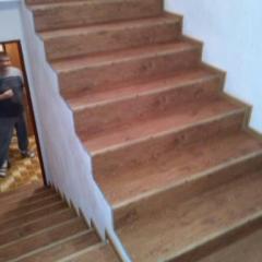 Floor Forever Padouk