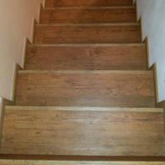 Floor Forever Padouk