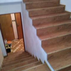 Floor Forever Padouk